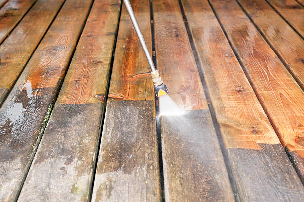 Animal Enclosure Cleaning in Lake Andes, SD